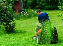 Kwikfynd Lawn Mowing
bogan